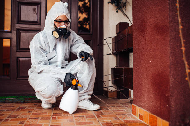Attic and Crawl Space Rodent Treatment in Muscatine