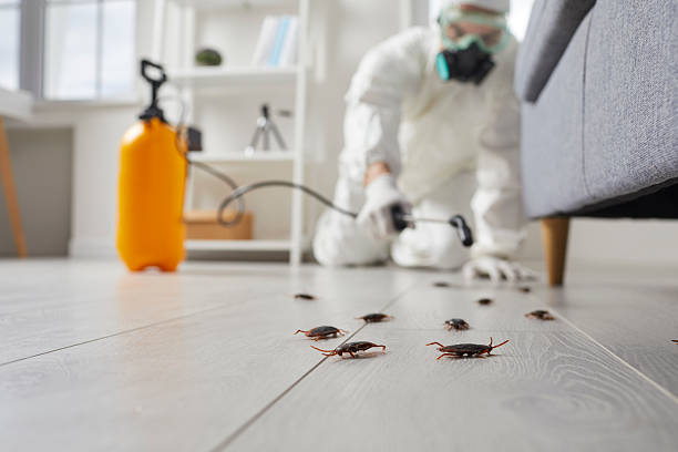 Commercial Rodent Management in Muscatine